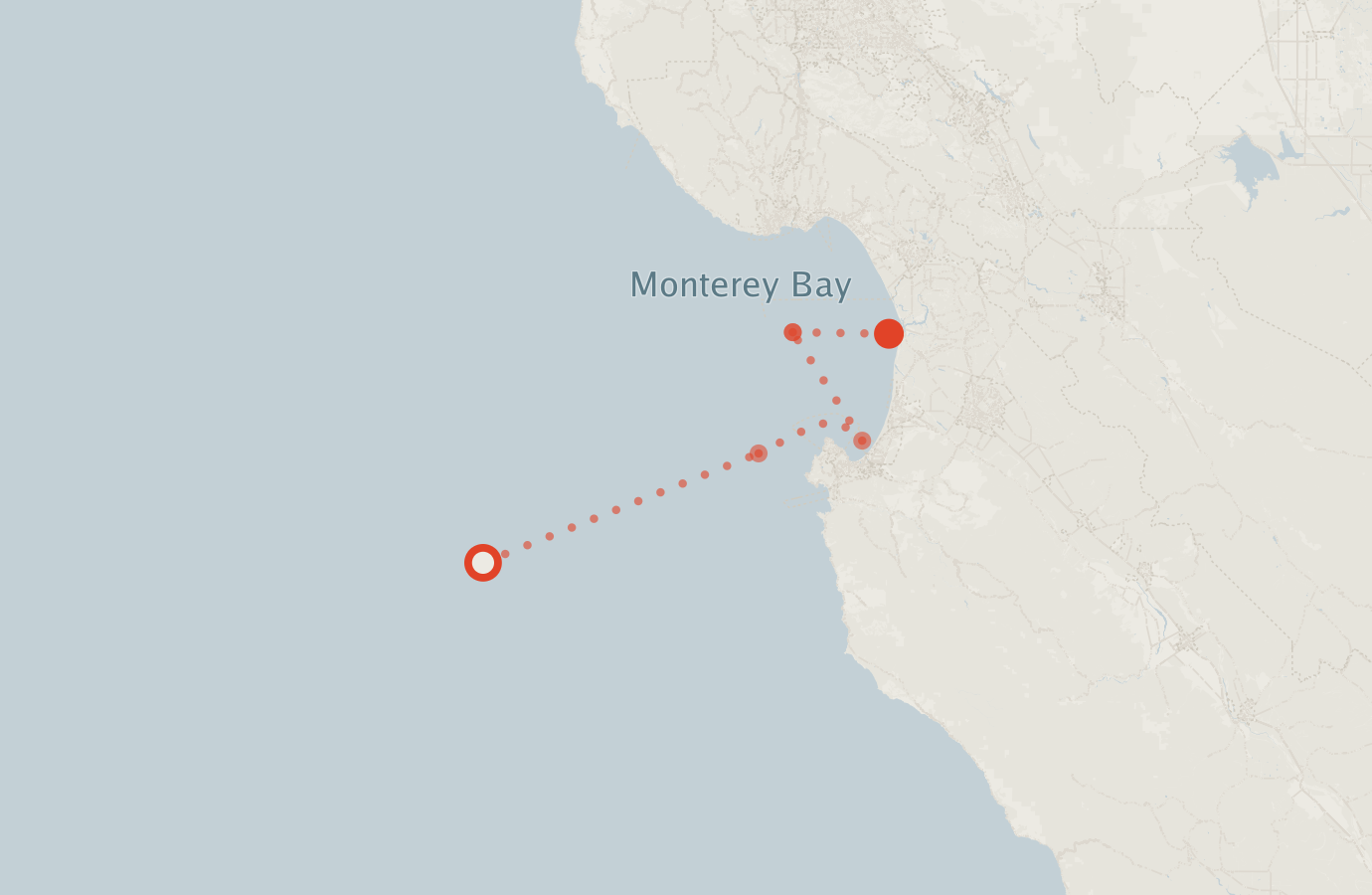 Activity map — real sighting points on an OpenStreetMap basemap
