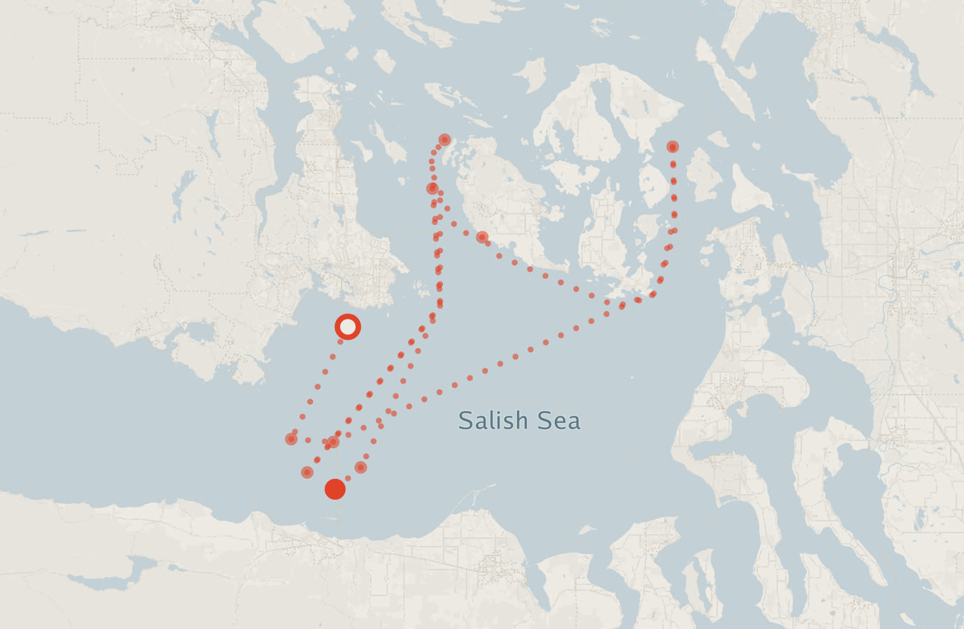 Activity map — real sighting points on an OpenStreetMap basemap