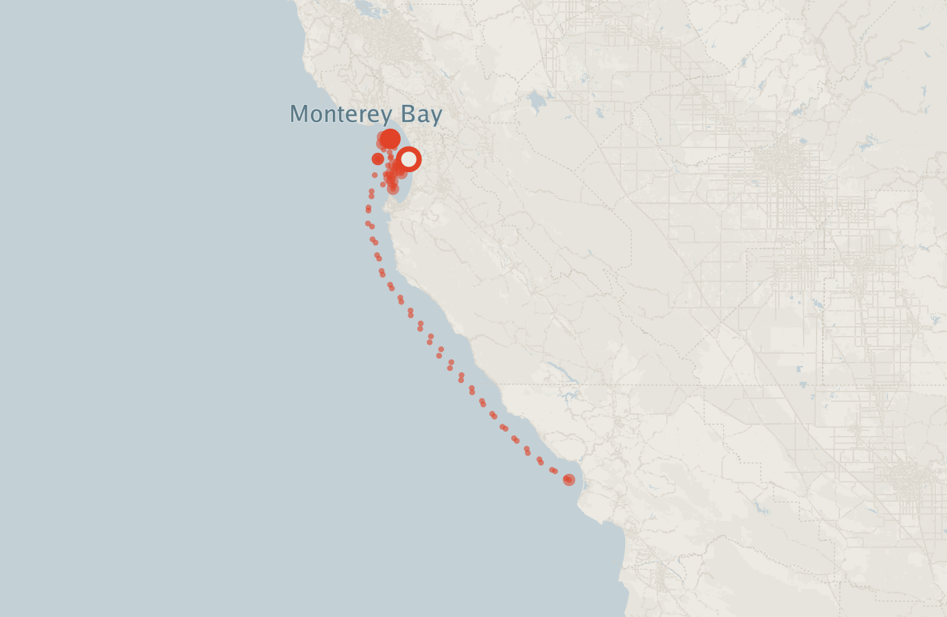 Activity map — real sighting points on an OpenStreetMap basemap