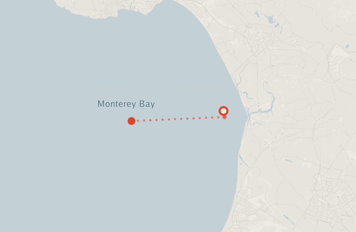 Activity map — real sighting points on an OpenStreetMap basemap