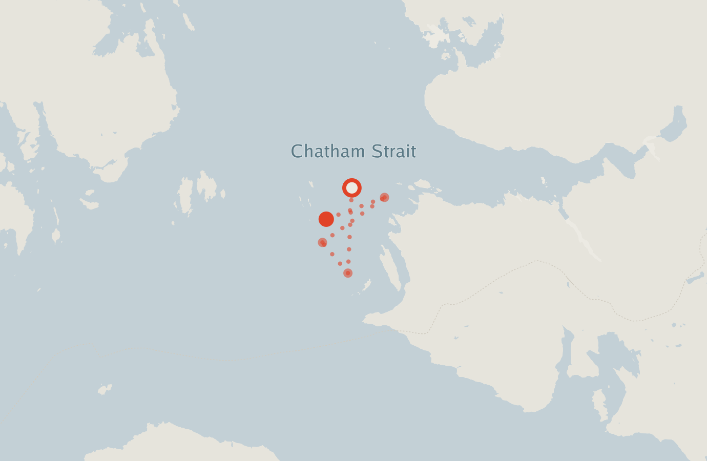 Activity map — real sighting points on an OpenStreetMap basemap
