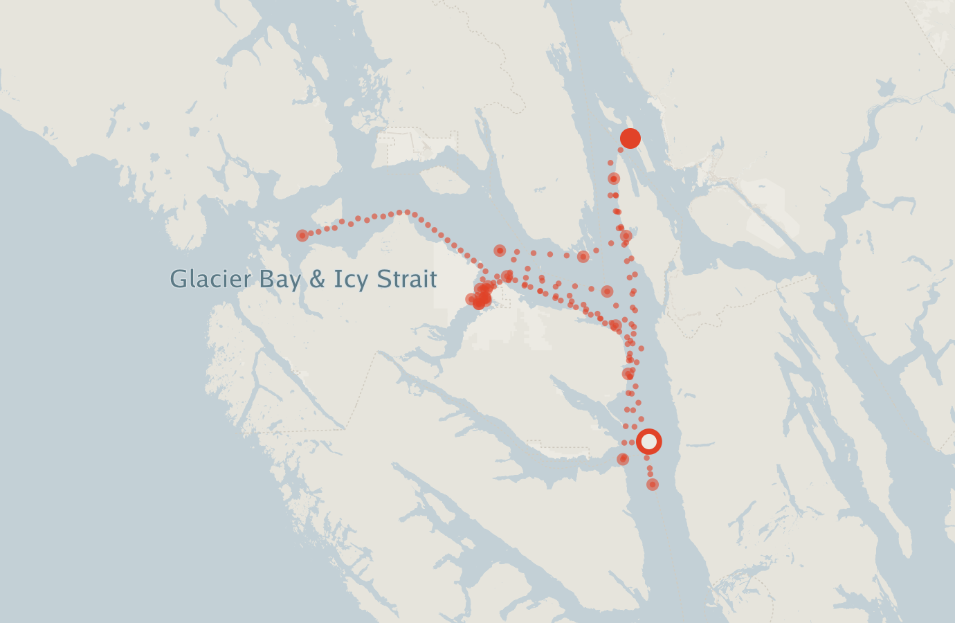 Activity map — real sighting points on an OpenStreetMap basemap