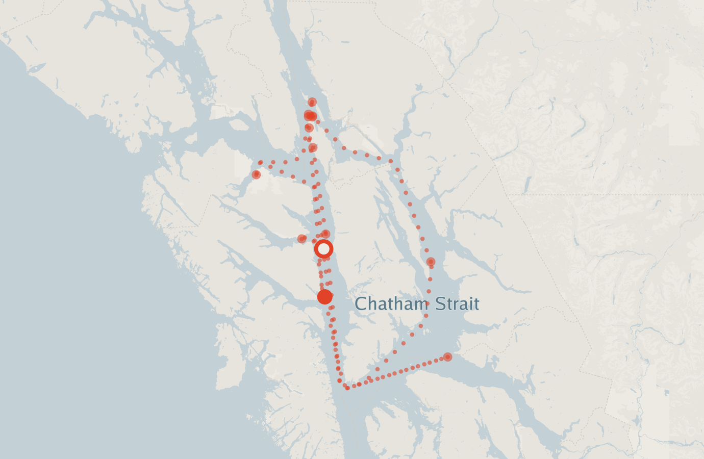 Activity map — real sighting points on an OpenStreetMap basemap