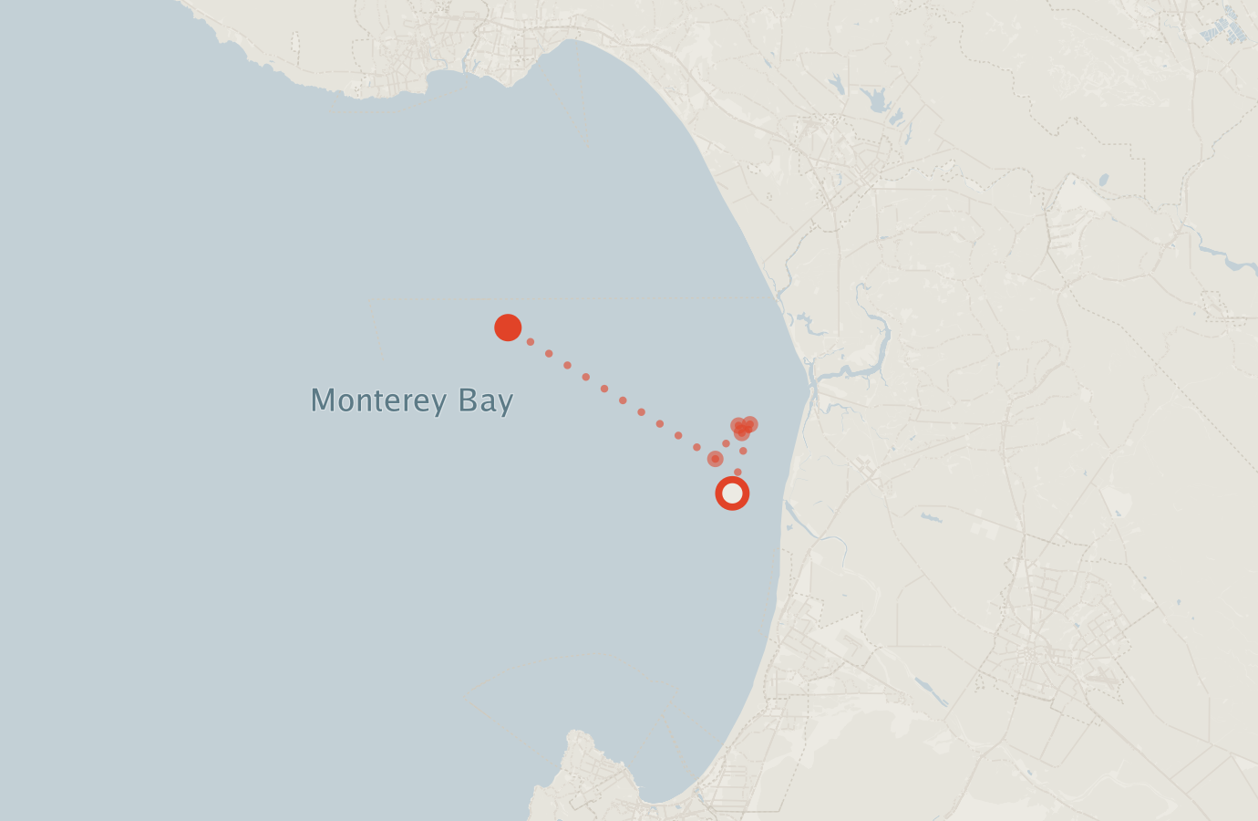 Activity map — real sighting points on an OpenStreetMap basemap