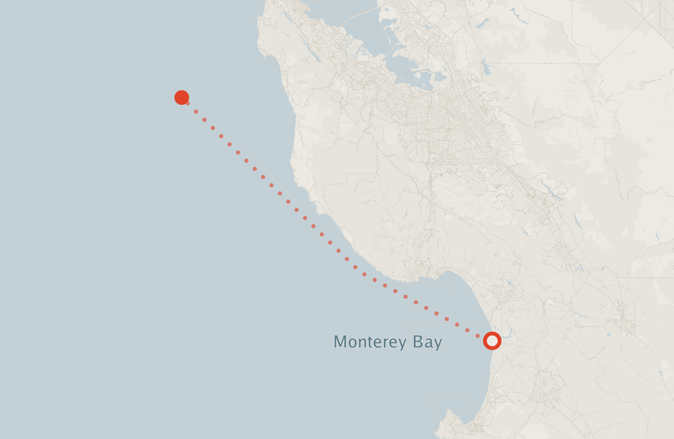 Activity map — real sighting points on an OpenStreetMap basemap