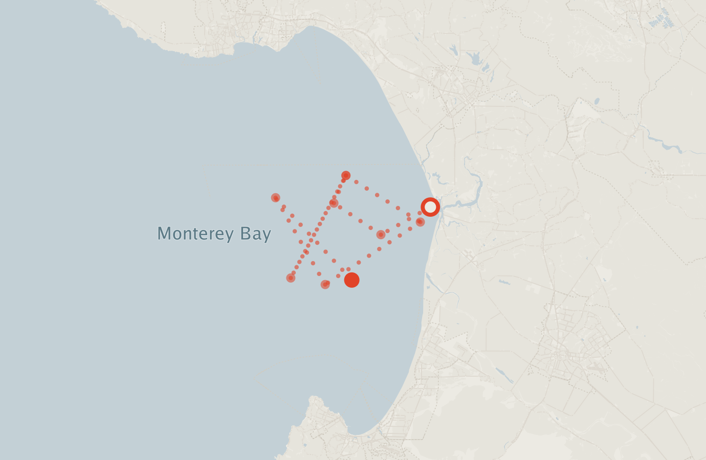 Activity map — real sighting points on an OpenStreetMap basemap
