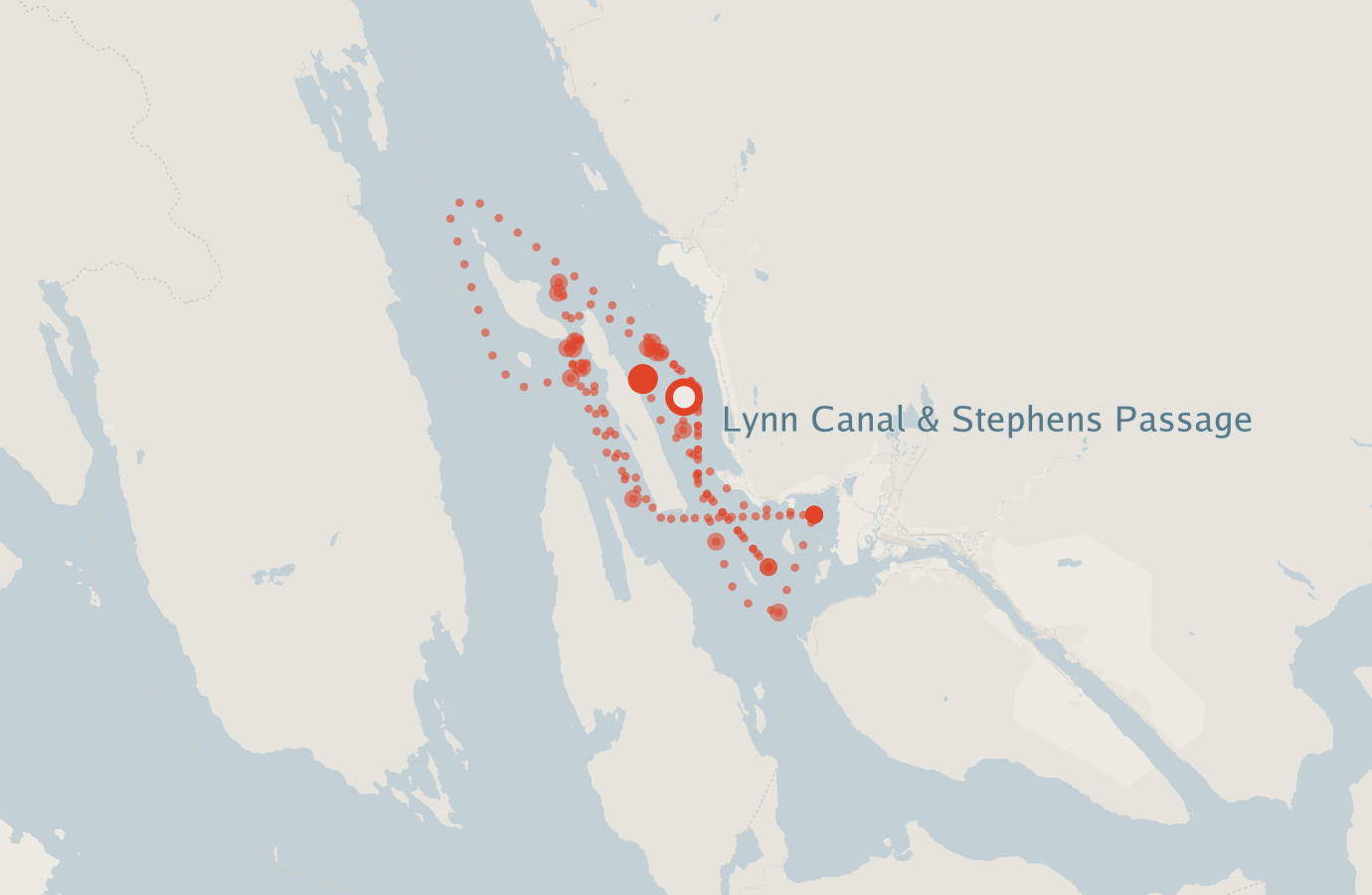 Activity map — real sighting points on an OpenStreetMap basemap
