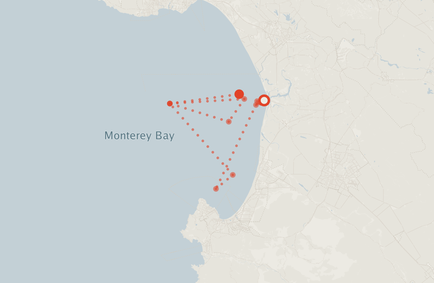 Activity map — real sighting points on an OpenStreetMap basemap