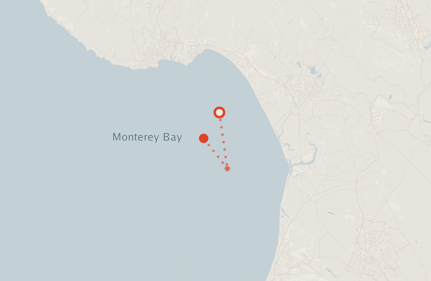 Activity map — real sighting points on an OpenStreetMap basemap