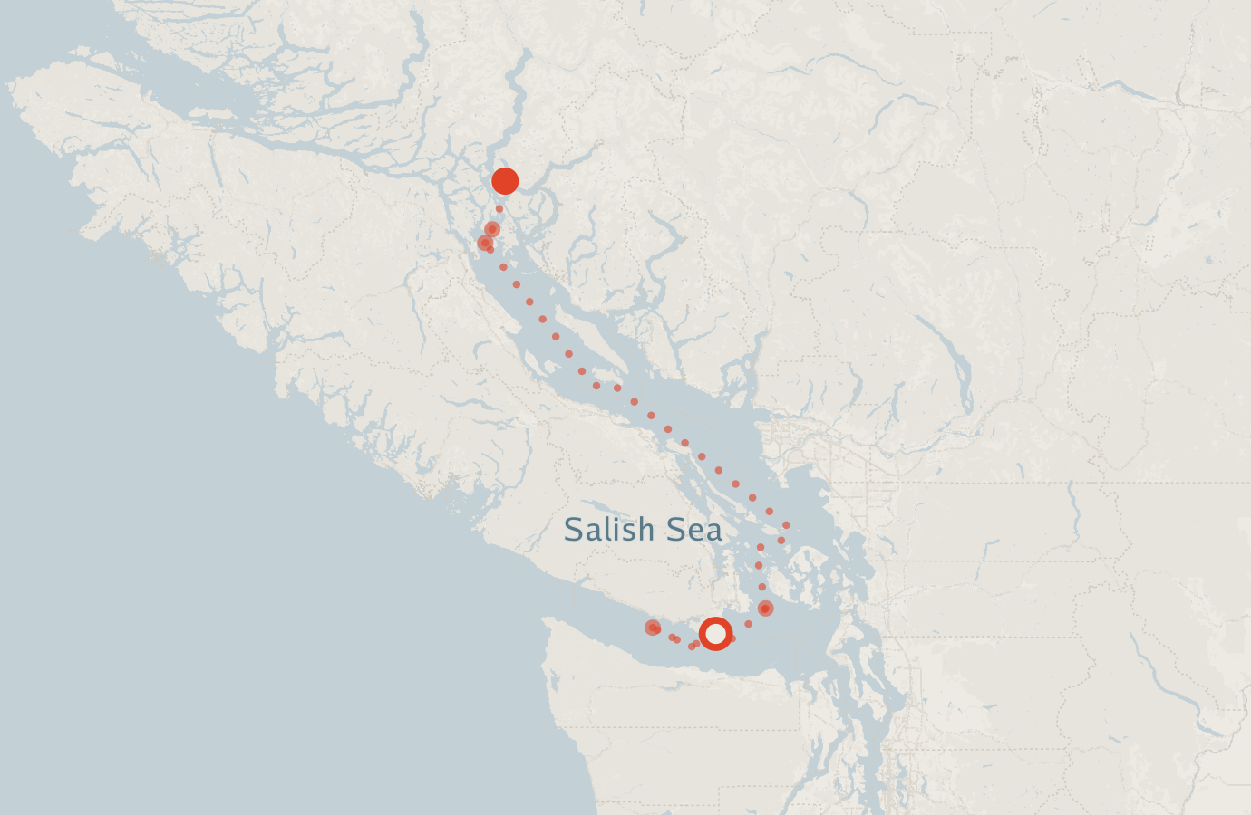 Activity map — real sighting points on an OpenStreetMap basemap
