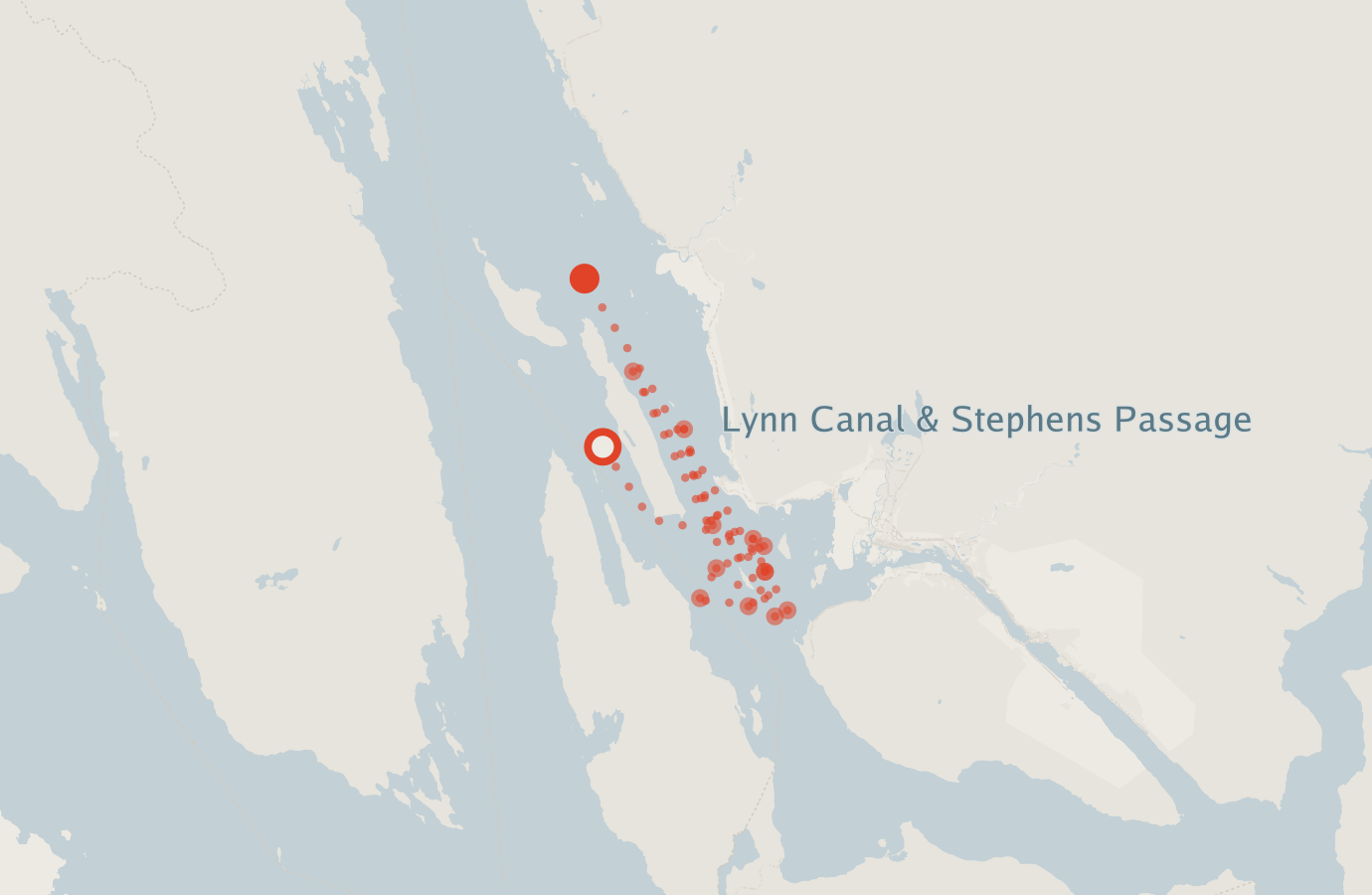 Activity map — real sighting points on an OpenStreetMap basemap