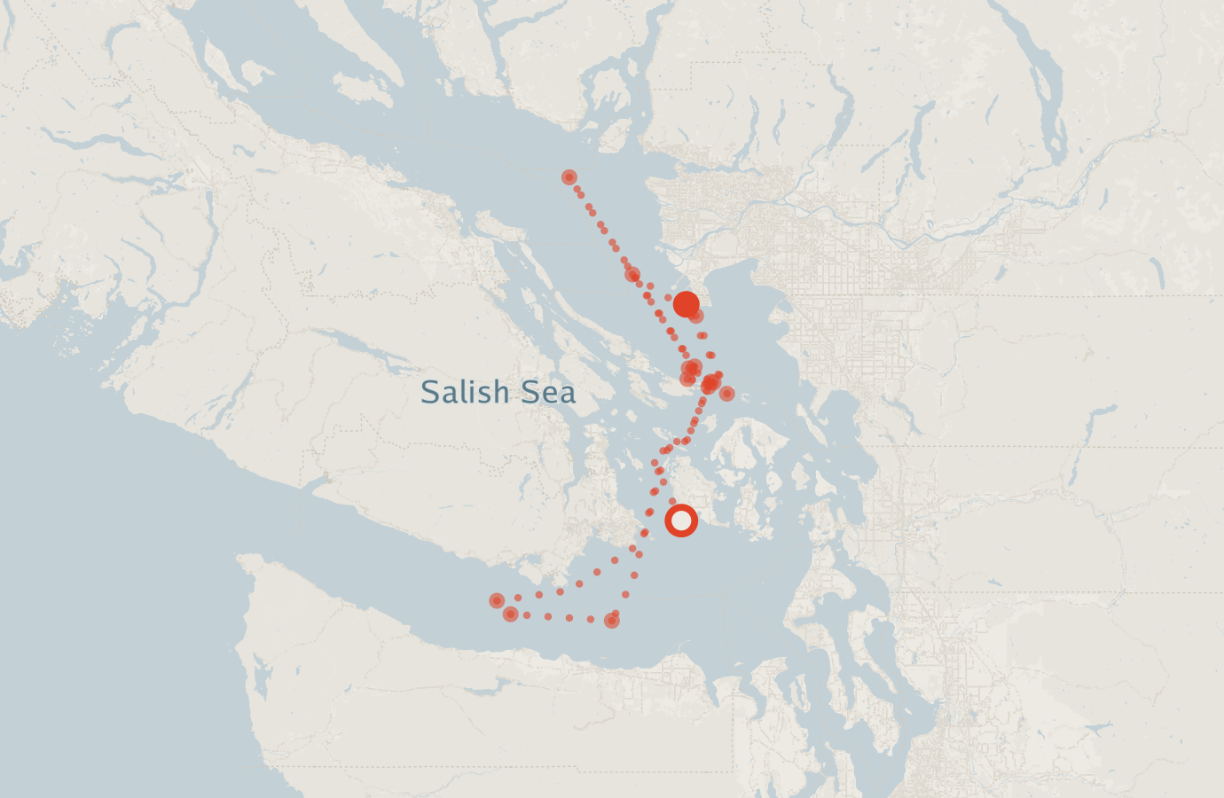 Activity map — real sighting points on an OpenStreetMap basemap