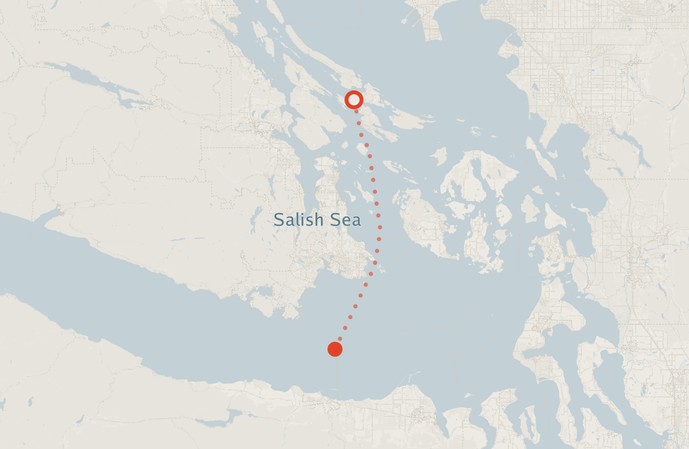 Activity map — real sighting points on an OpenStreetMap basemap