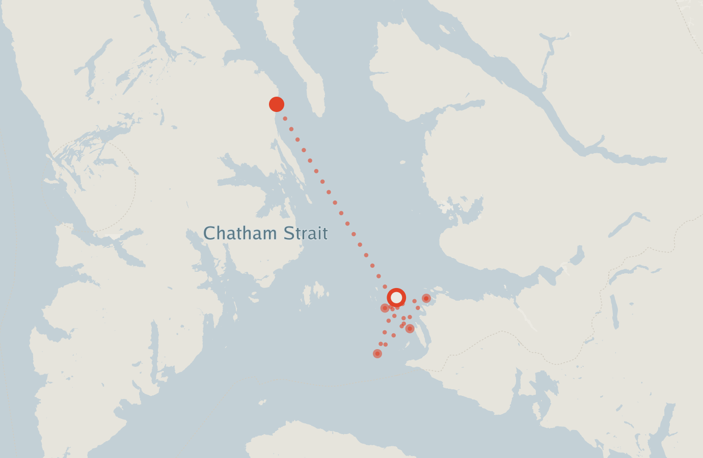 Activity map — real sighting points on an OpenStreetMap basemap
