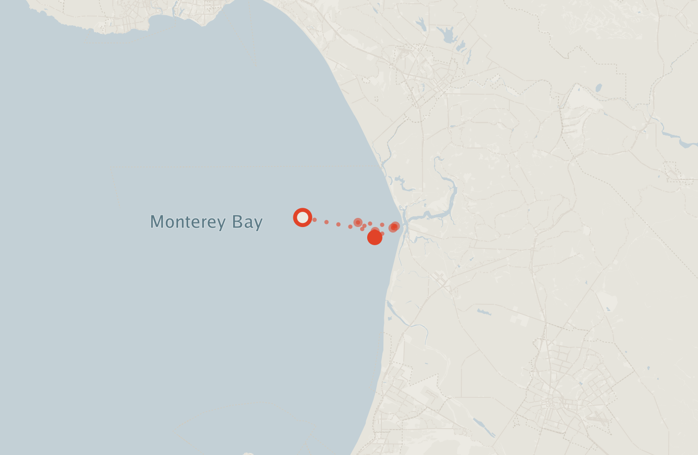 Activity map — real sighting points on an OpenStreetMap basemap