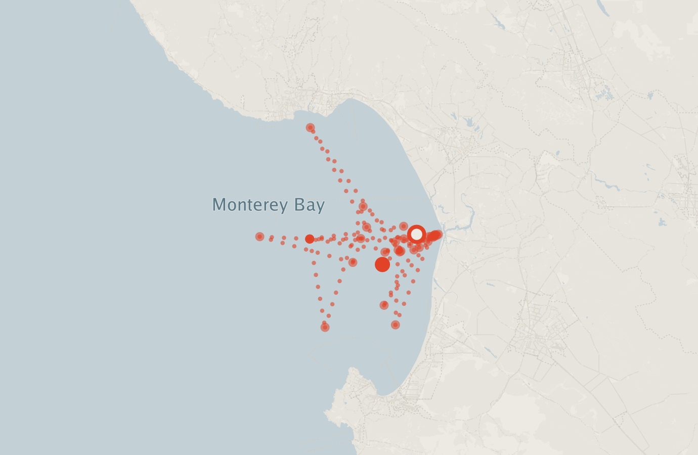 Activity map — real sighting points on an OpenStreetMap basemap