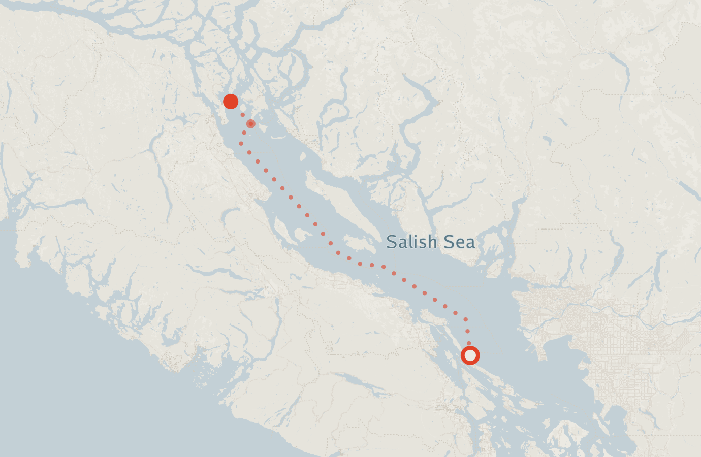 Activity map — real sighting points on an OpenStreetMap basemap