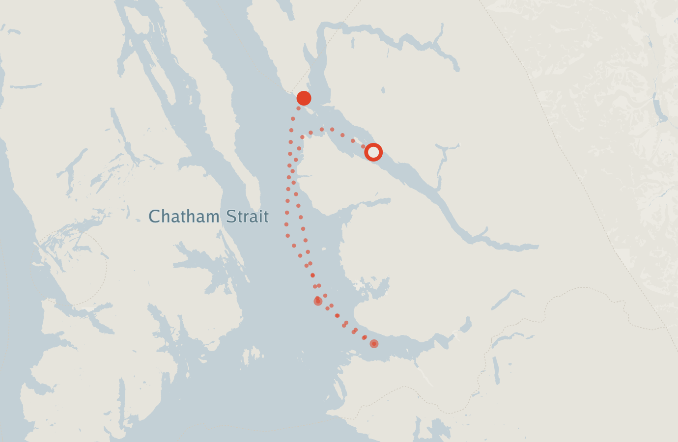 Activity map — real sighting points on an OpenStreetMap basemap