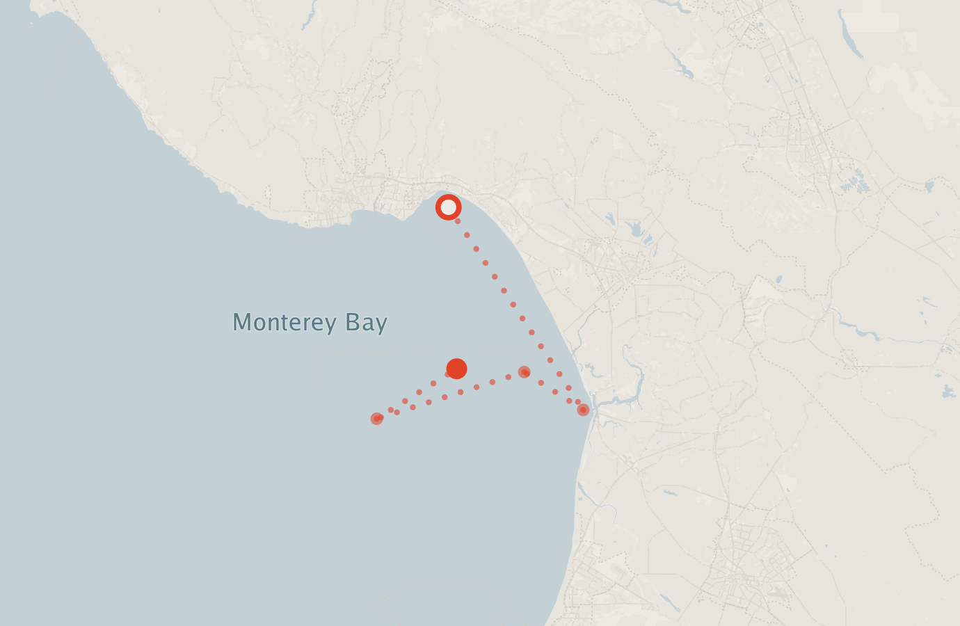 Activity map — real sighting points on an OpenStreetMap basemap