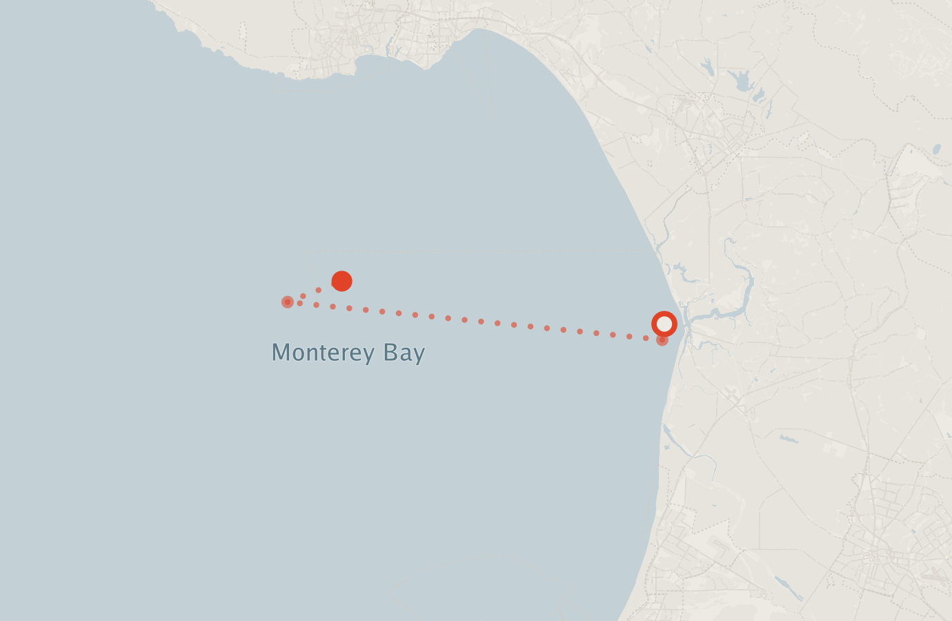 Activity map — real sighting points on an OpenStreetMap basemap