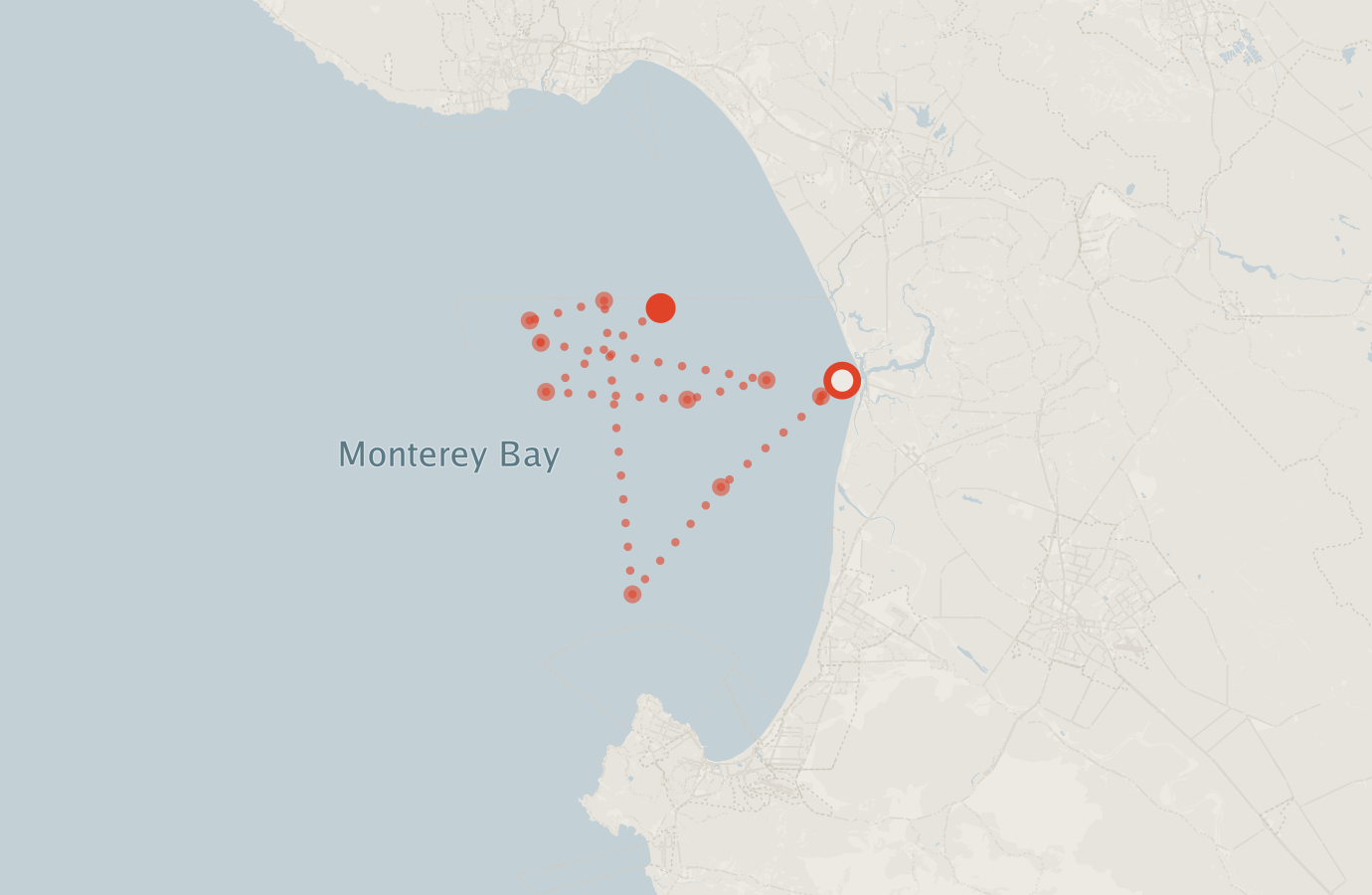 Activity map — real sighting points on an OpenStreetMap basemap