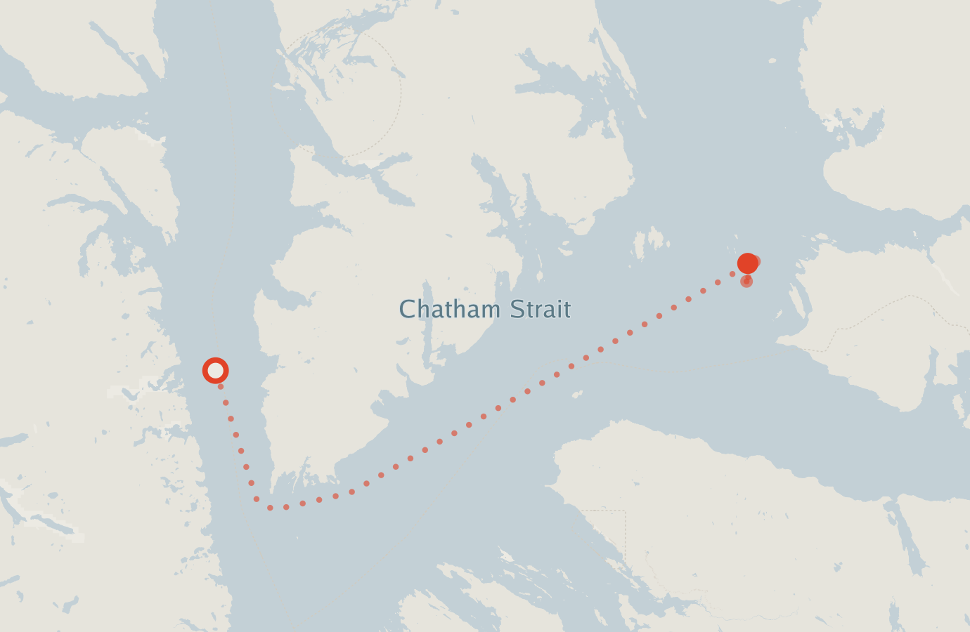 Activity map — real sighting points on an OpenStreetMap basemap