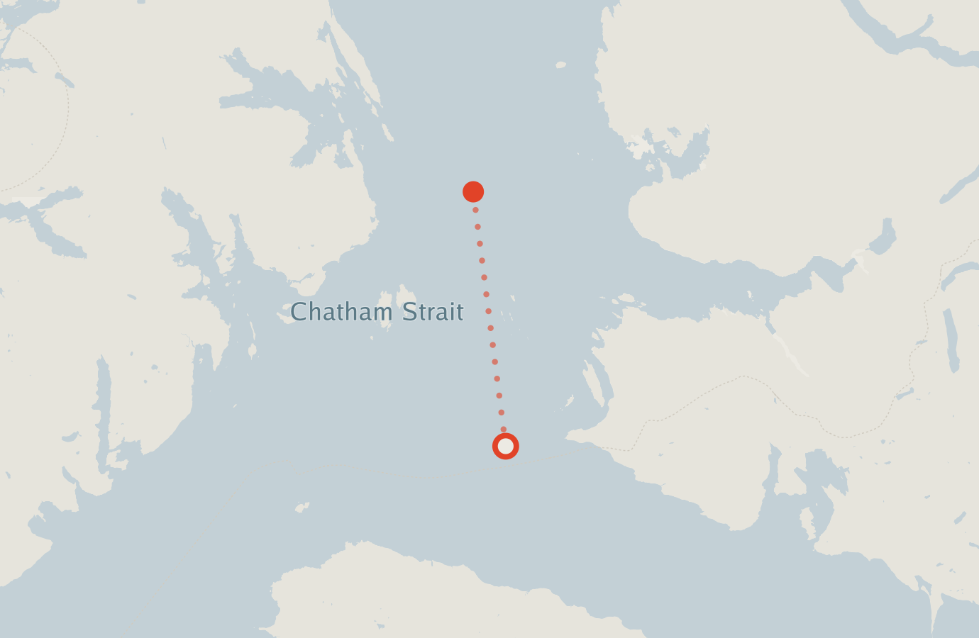 Activity map — real sighting points on an OpenStreetMap basemap