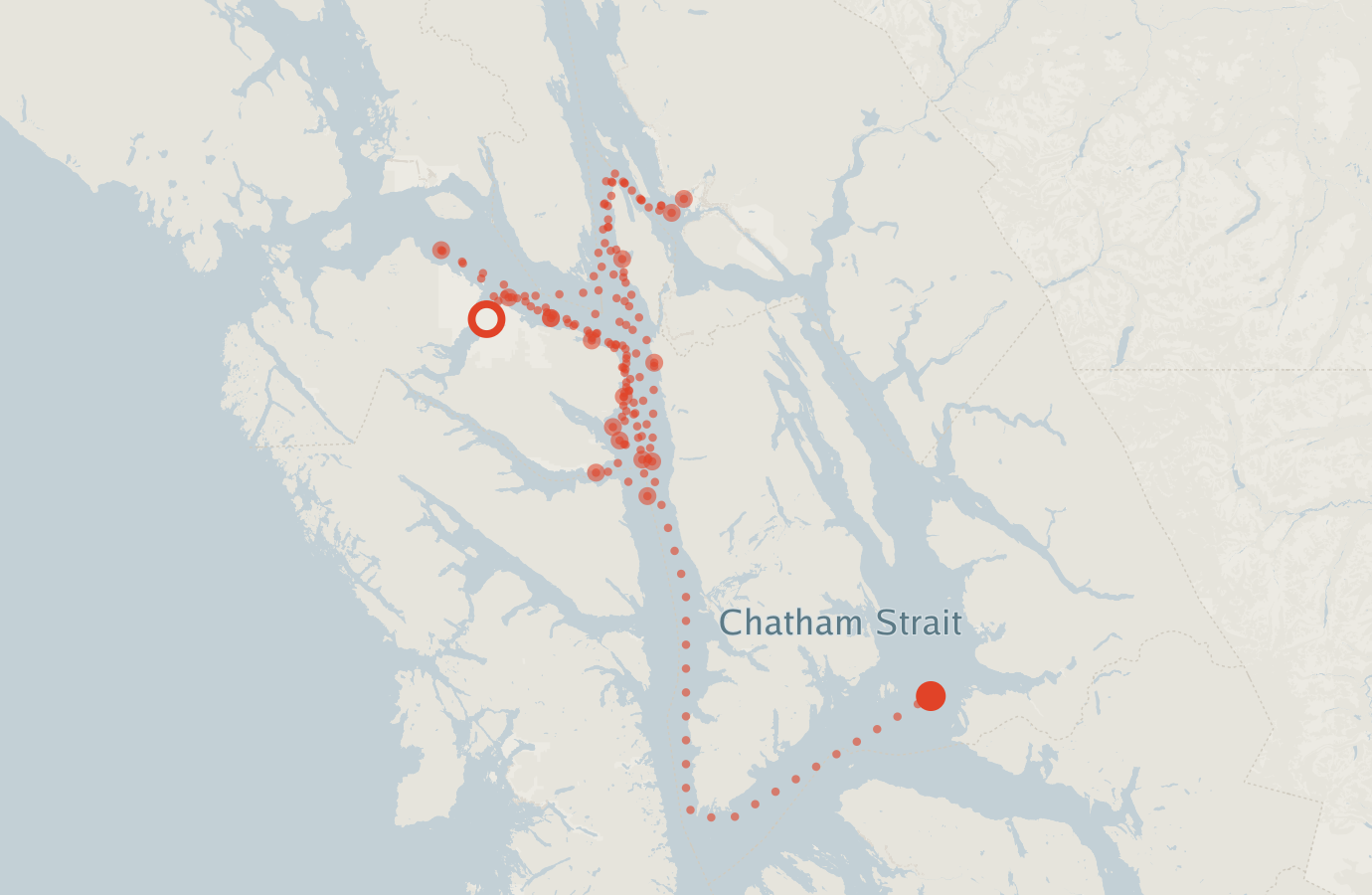 Activity map — real sighting points on an OpenStreetMap basemap