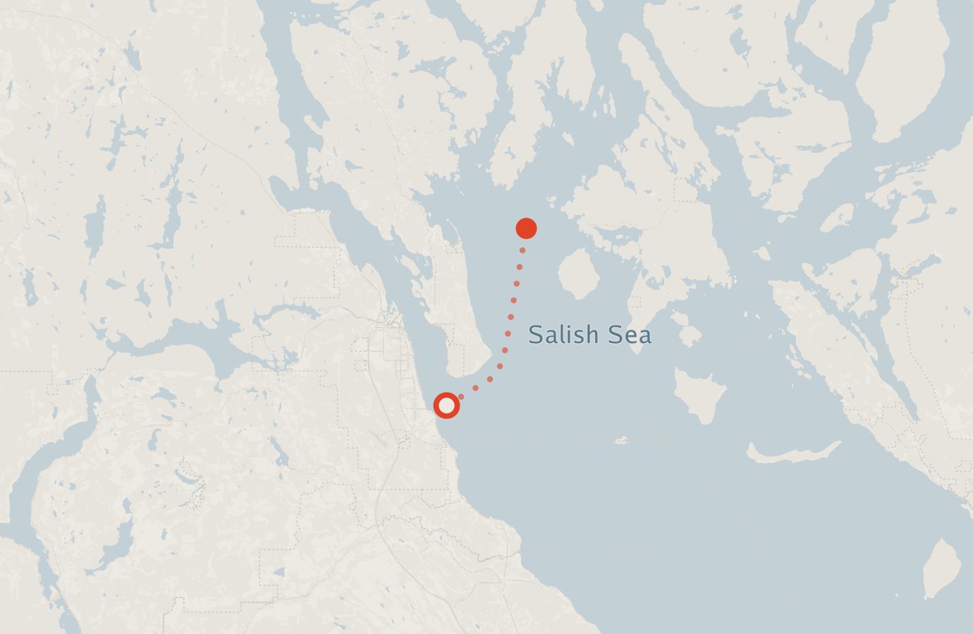 Activity map — real sighting points on an OpenStreetMap basemap