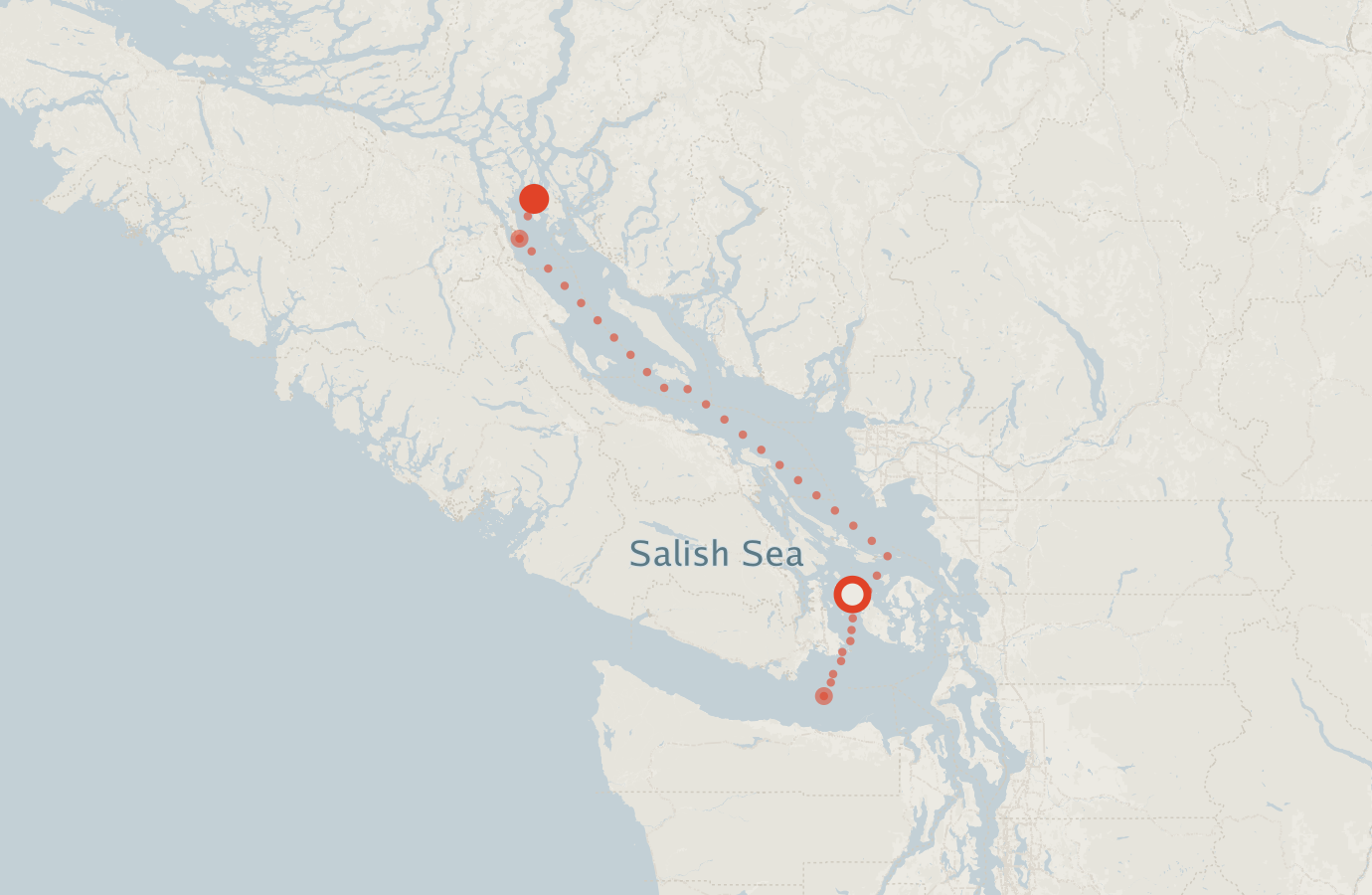 Activity map — real sighting points on an OpenStreetMap basemap