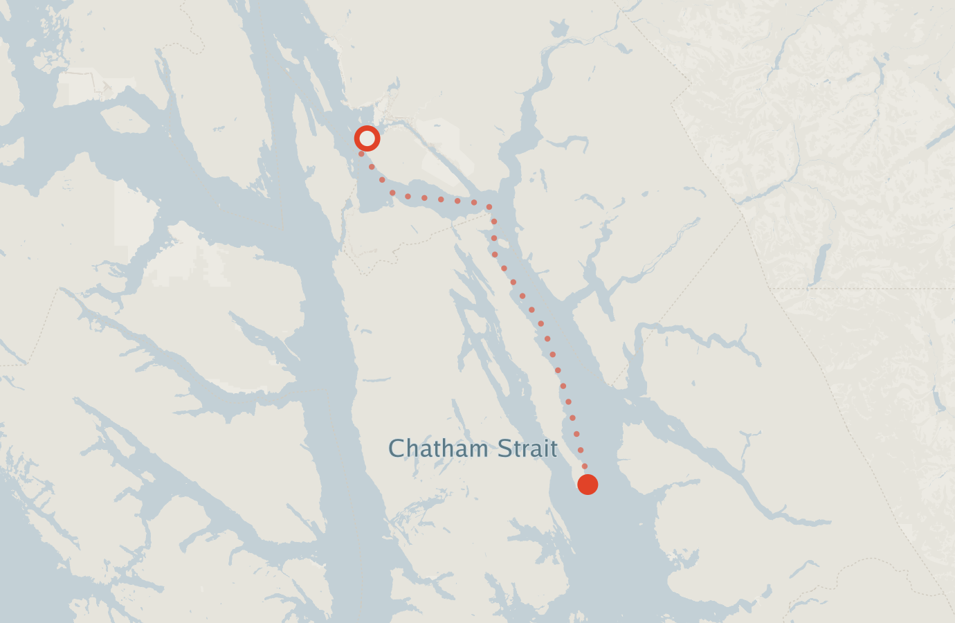 Activity map — real sighting points on an OpenStreetMap basemap
