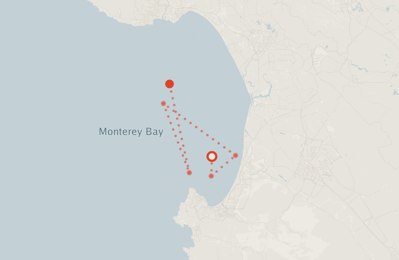 Activity map — real sighting points on an OpenStreetMap basemap