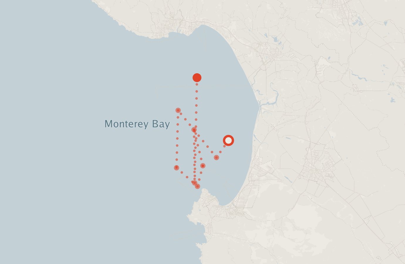 Activity map — real sighting points on an OpenStreetMap basemap