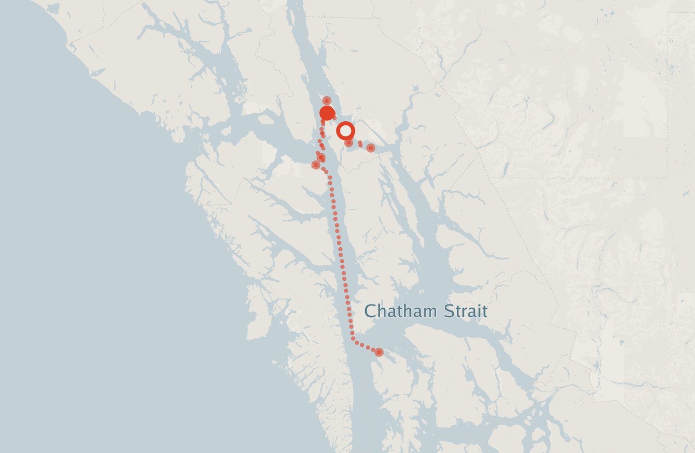 Activity map — real sighting points on an OpenStreetMap basemap