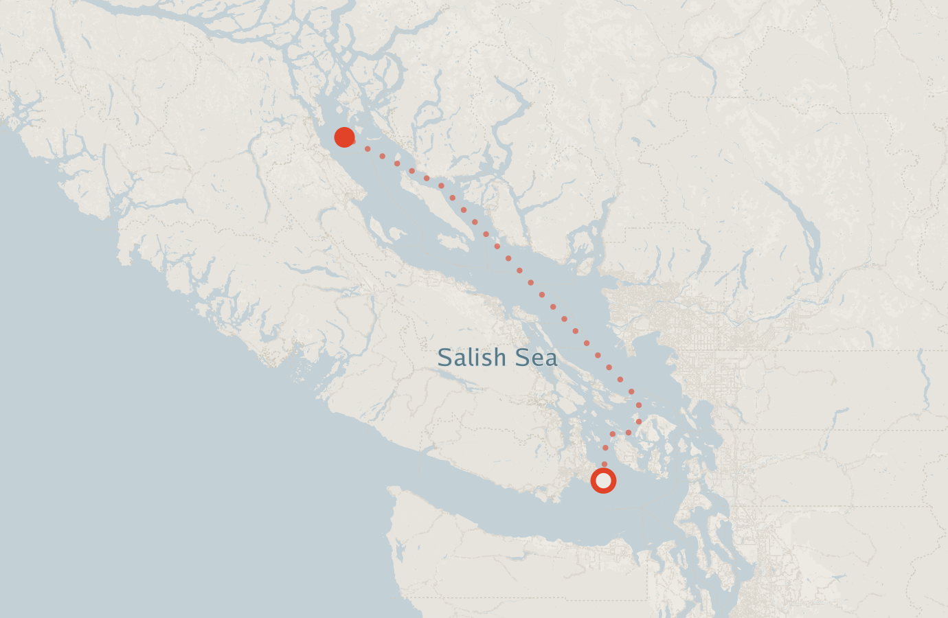 Activity map — real sighting points on an OpenStreetMap basemap