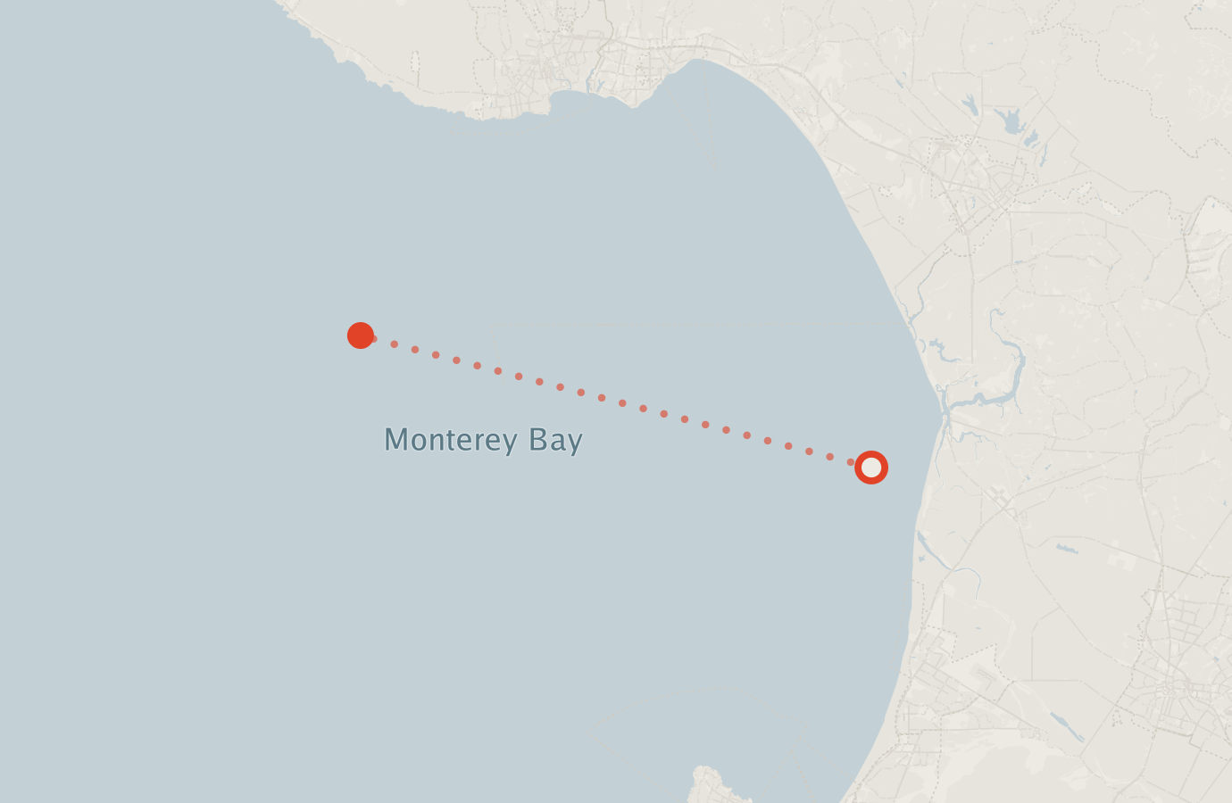 Activity map — real sighting points on an OpenStreetMap basemap