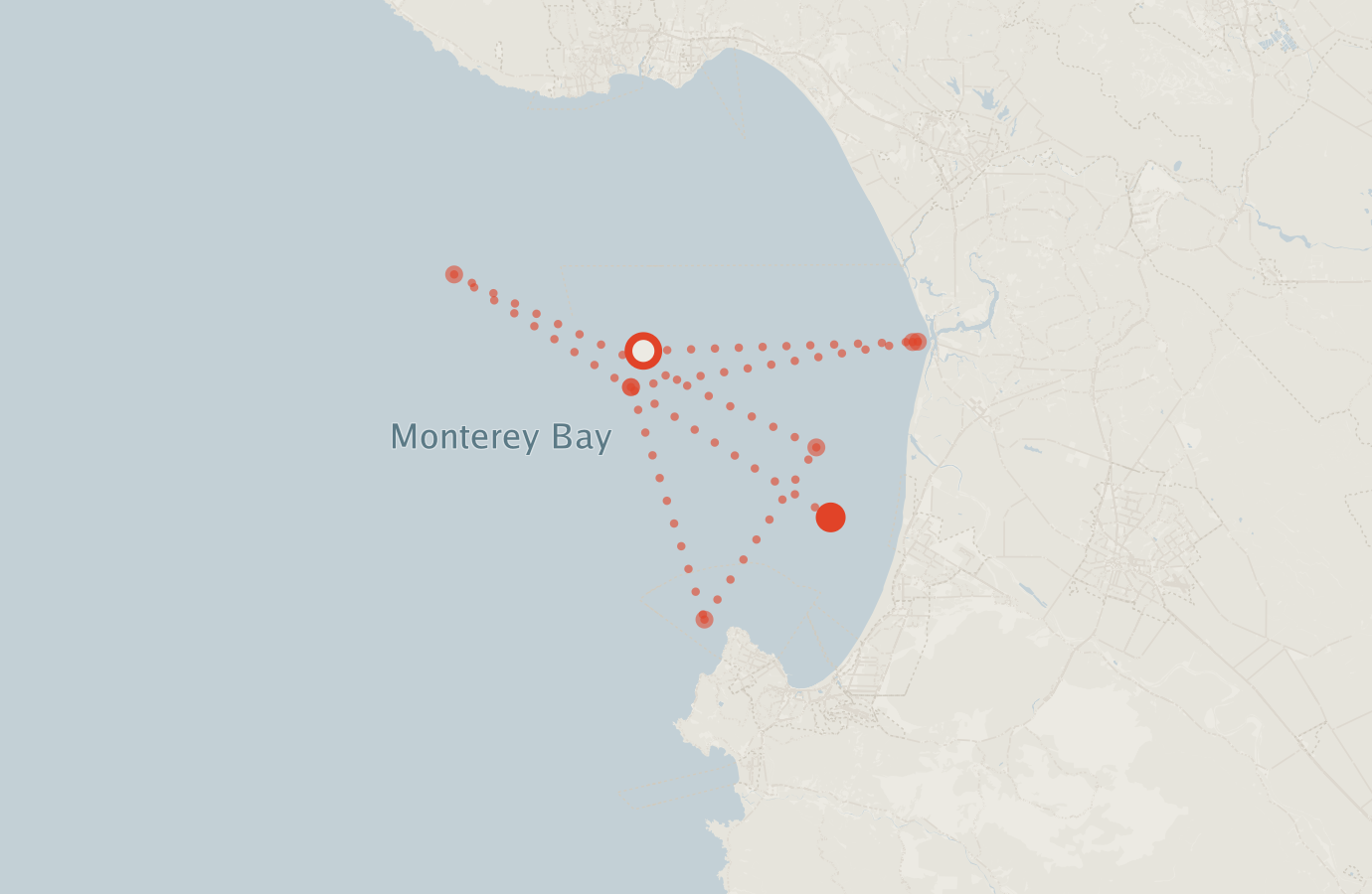 Activity map — real sighting points on an OpenStreetMap basemap