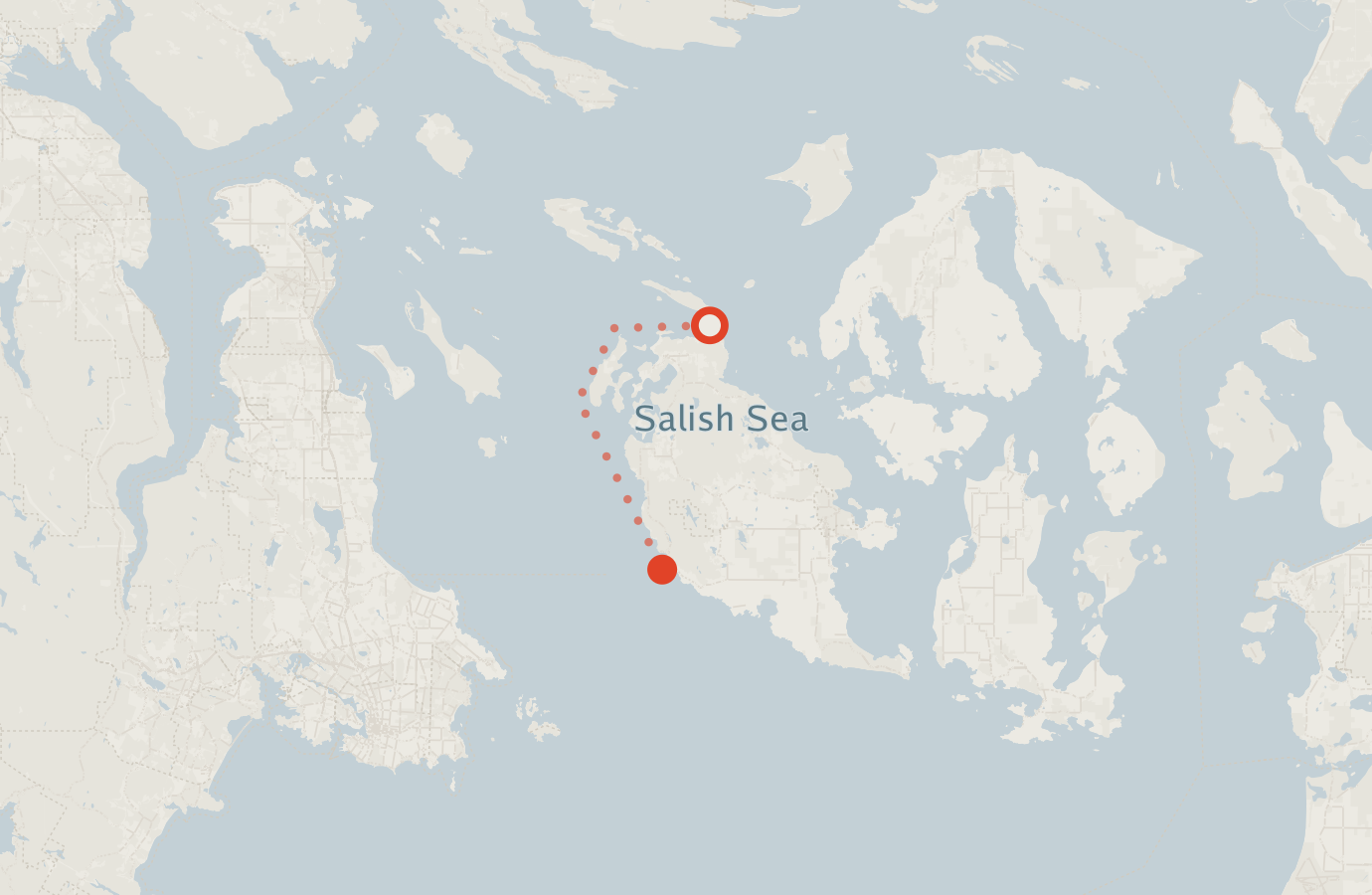 Activity map — real sighting points on an OpenStreetMap basemap