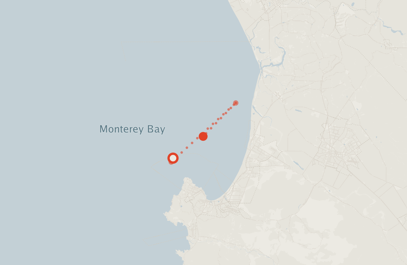 Activity map — real sighting points on an OpenStreetMap basemap