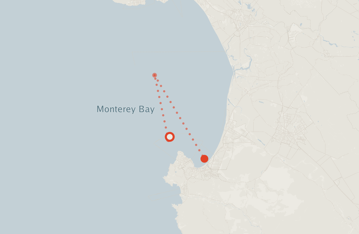 Activity map — real sighting points on an OpenStreetMap basemap