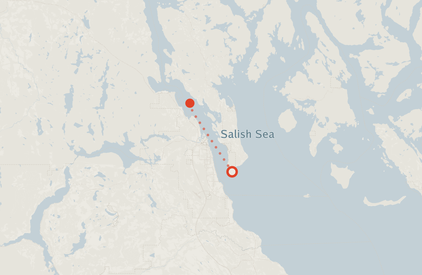Activity map — real sighting points on an OpenStreetMap basemap