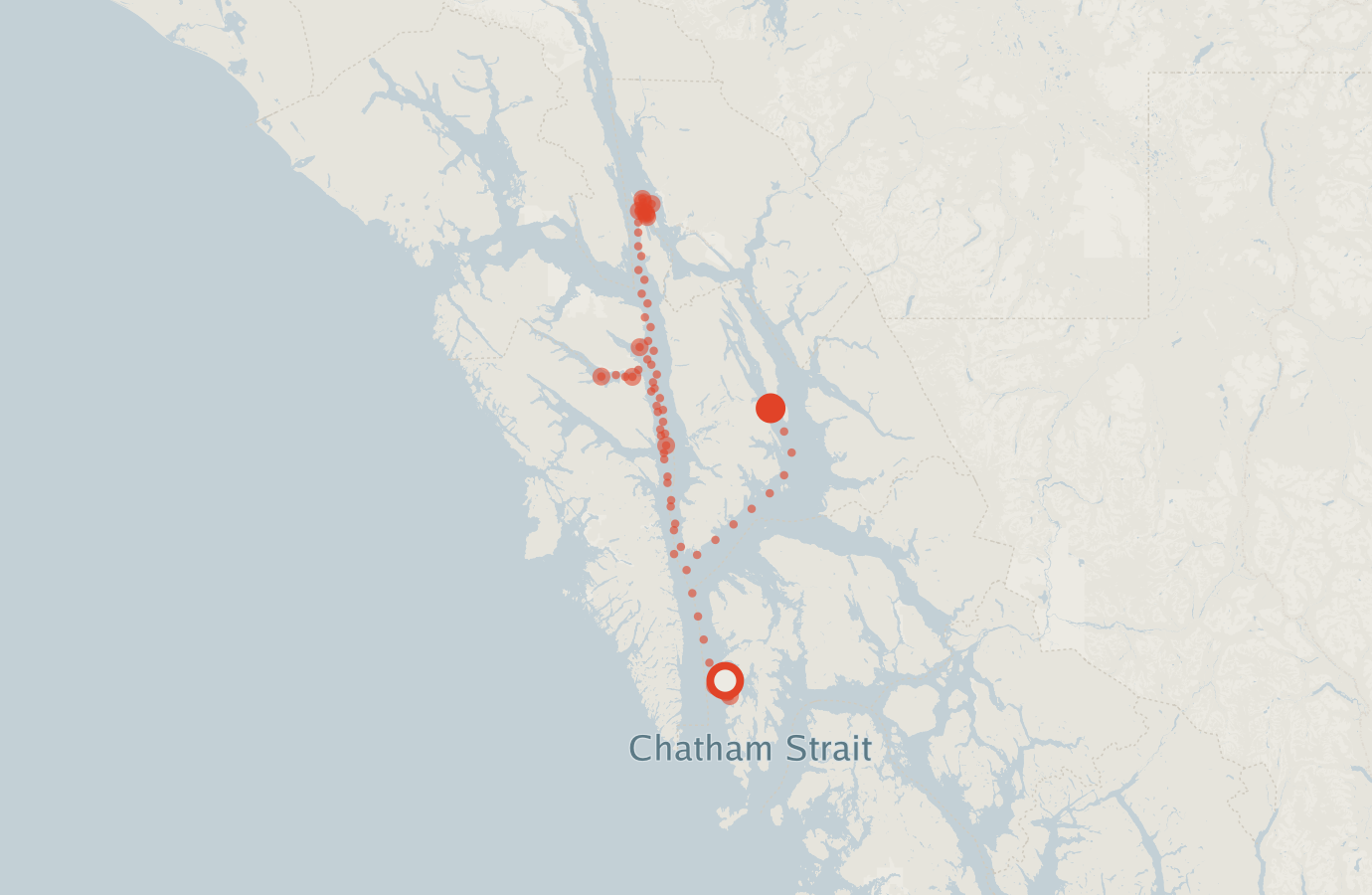 Activity map — real sighting points on an OpenStreetMap basemap