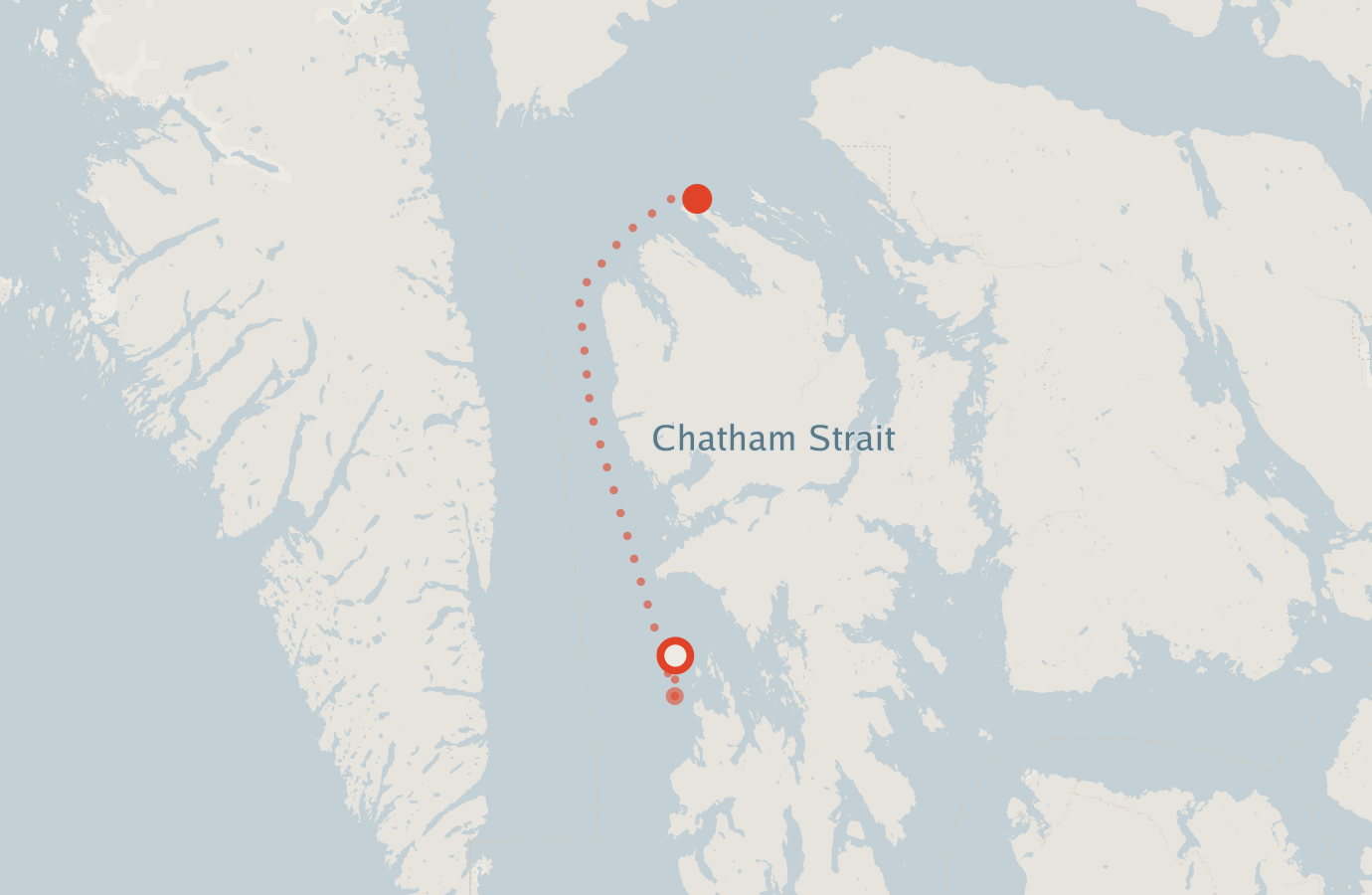 Activity map — real sighting points on an OpenStreetMap basemap