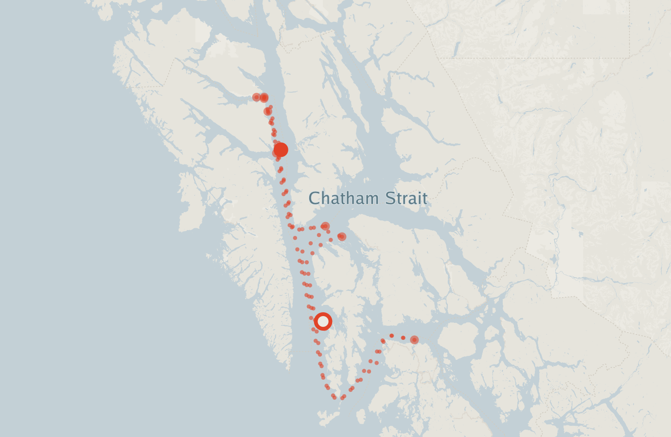 Activity map — real sighting points on an OpenStreetMap basemap