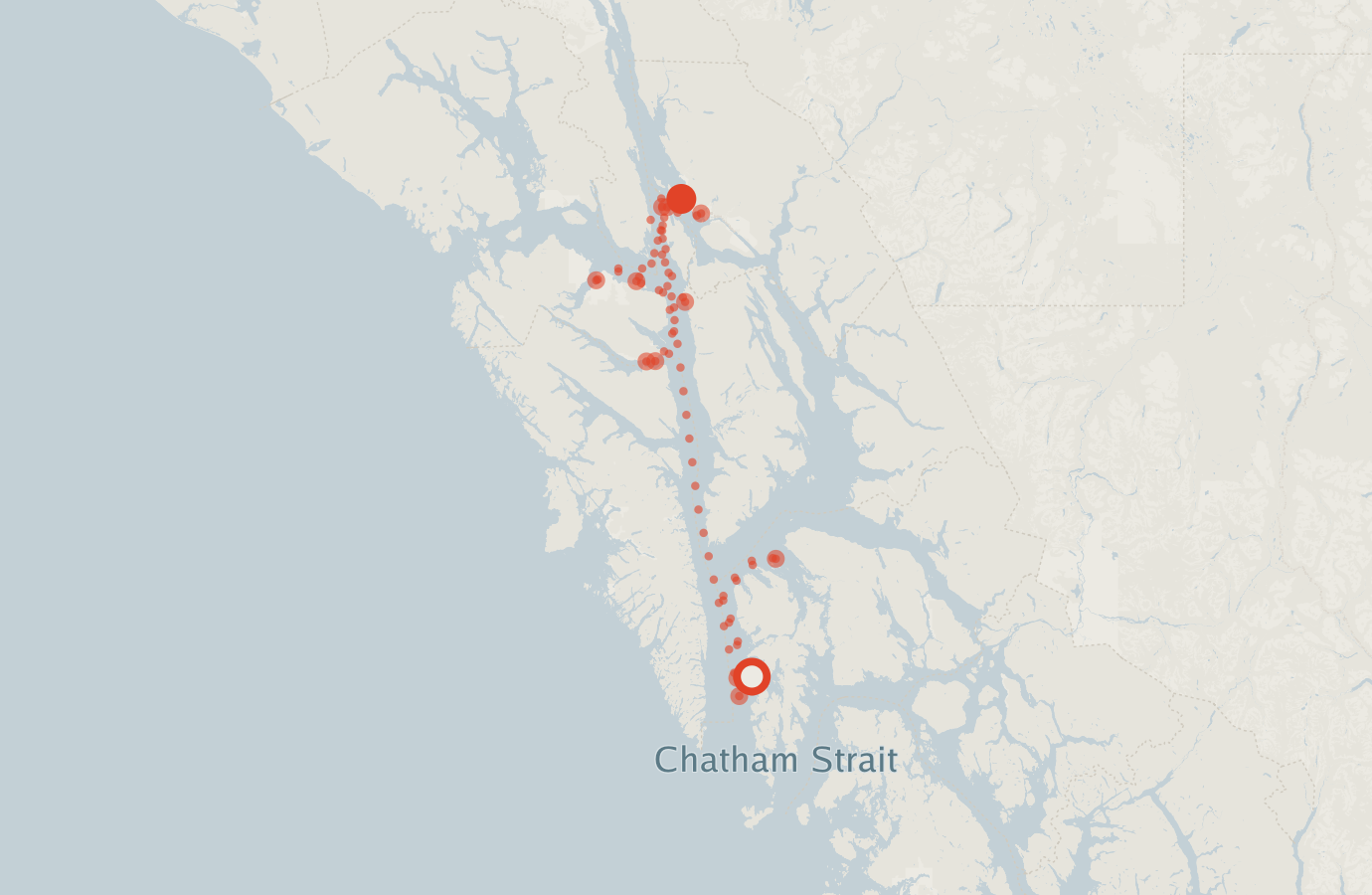Activity map — real sighting points on an OpenStreetMap basemap