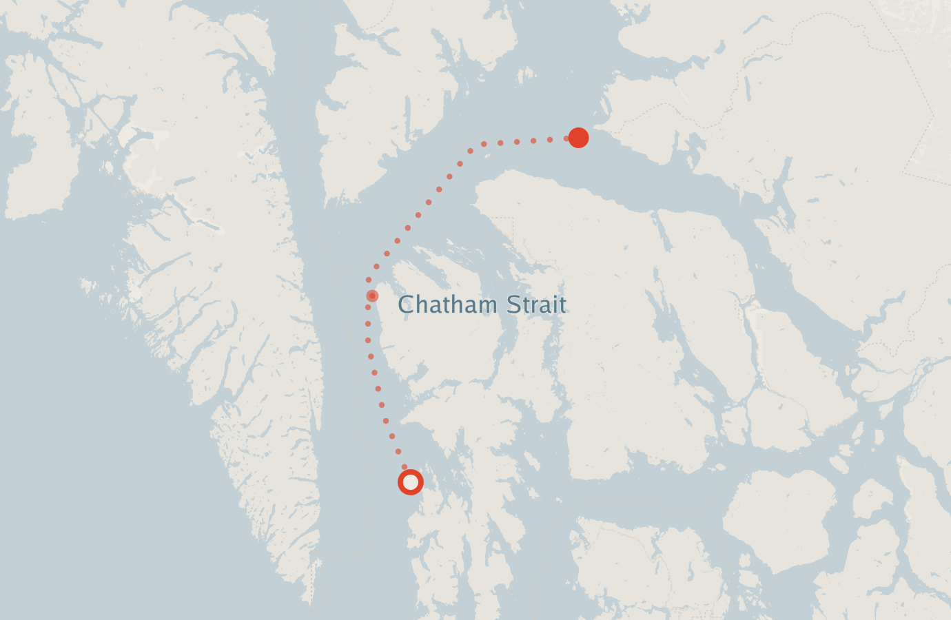 Activity map — real sighting points on an OpenStreetMap basemap