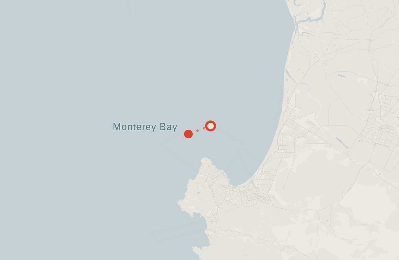 Activity map — real sighting points on an OpenStreetMap basemap