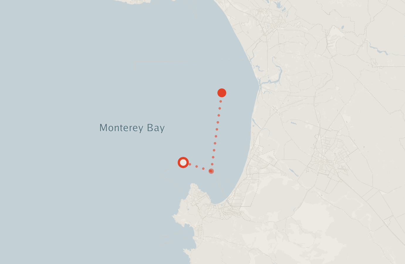 Activity map — real sighting points on an OpenStreetMap basemap