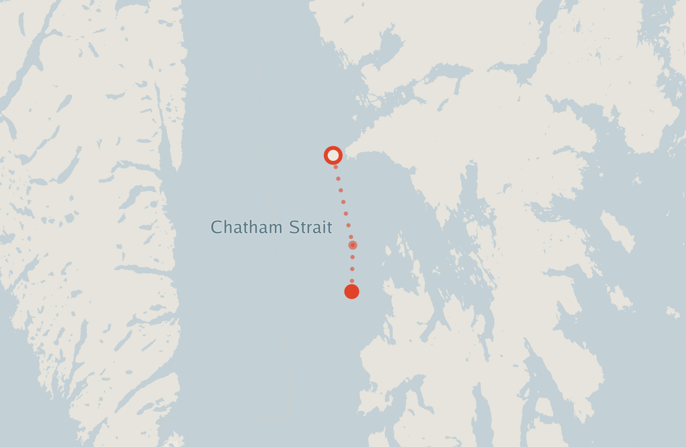 Activity map — real sighting points on an OpenStreetMap basemap