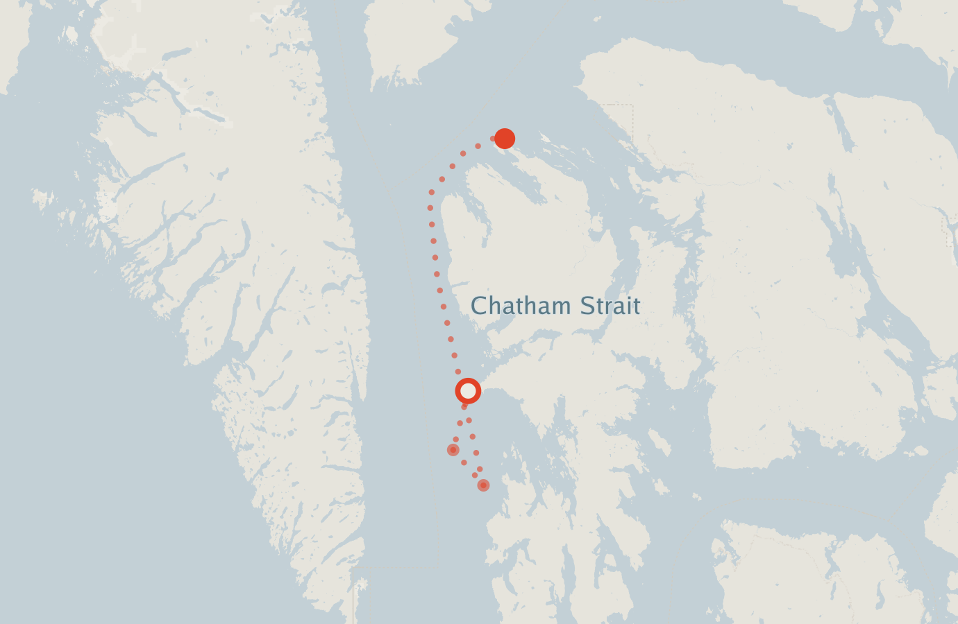 Activity map — real sighting points on an OpenStreetMap basemap